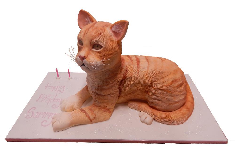 Realistic Cat Cakes