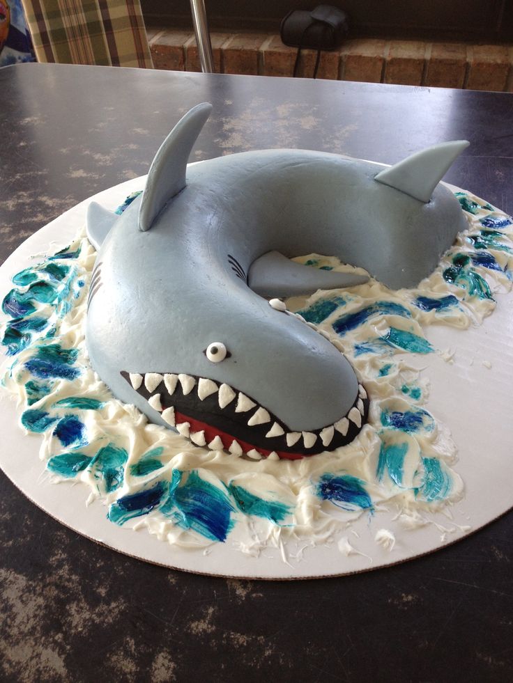 Shark Cake