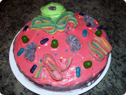 3D Animal Cell Cake Project