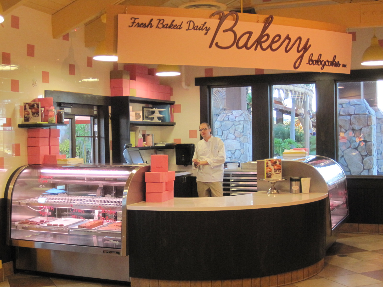 7 Photos of Baby Cakes Downtown Disney Cakes