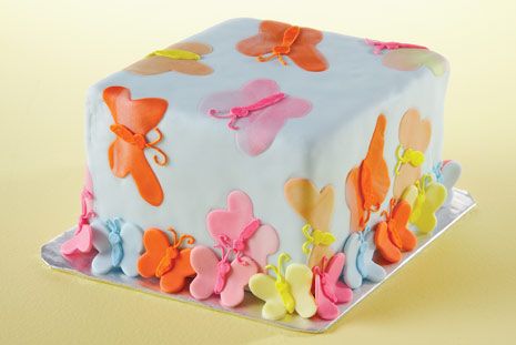 Butterfly Shaped Cake