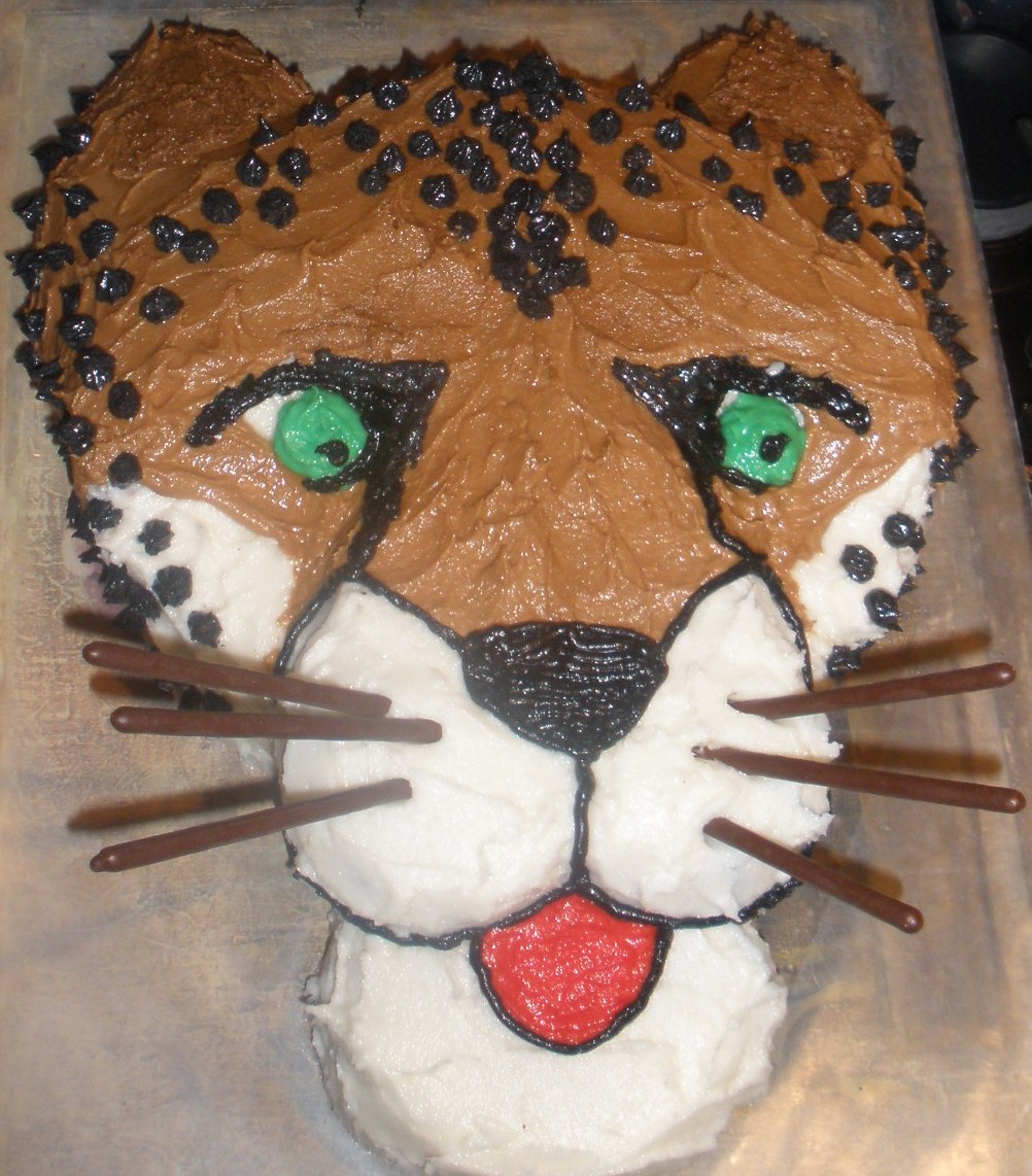 Cheetah Birthday Cake Ideas