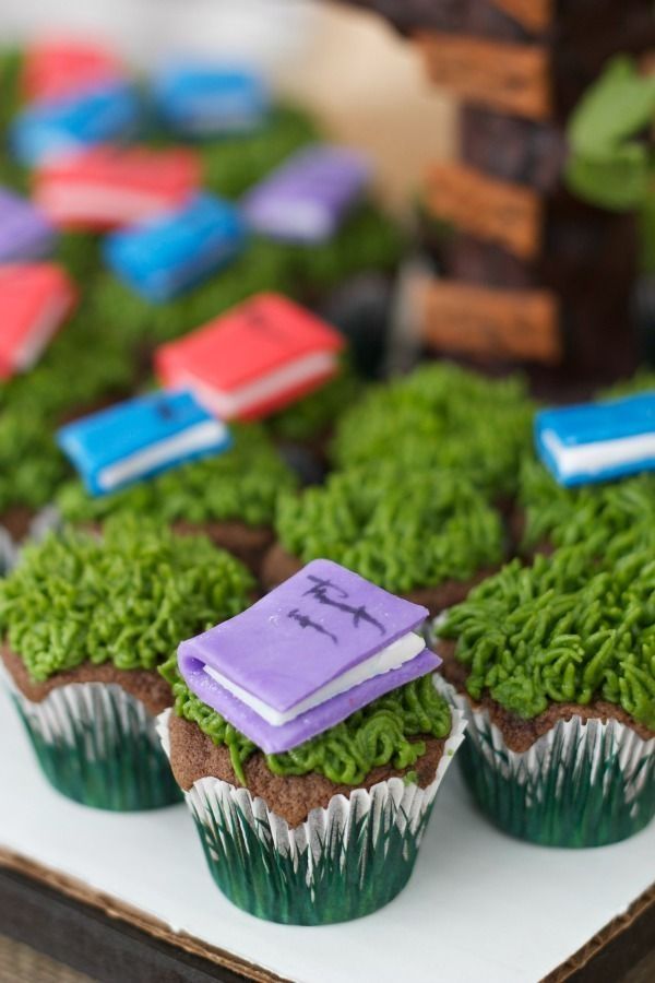 Cupcake Birthday Party Ideas for Boys