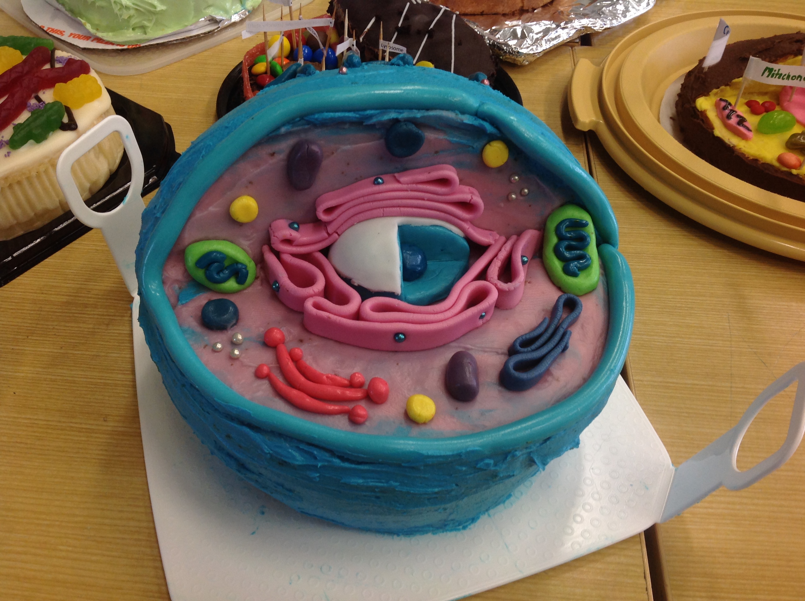 Edible Animal Cell Cake Projects