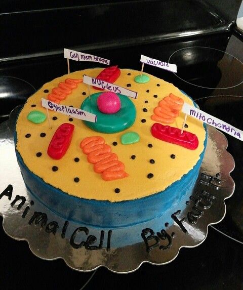 Edible Animal Cell Cake Projects