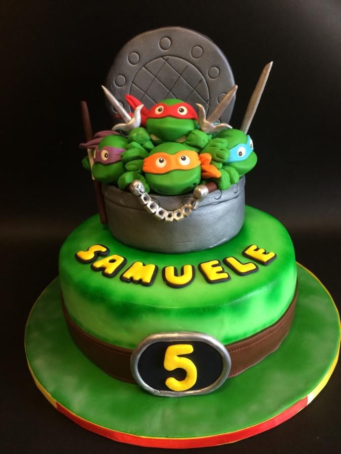 Ninja Turtle Cake