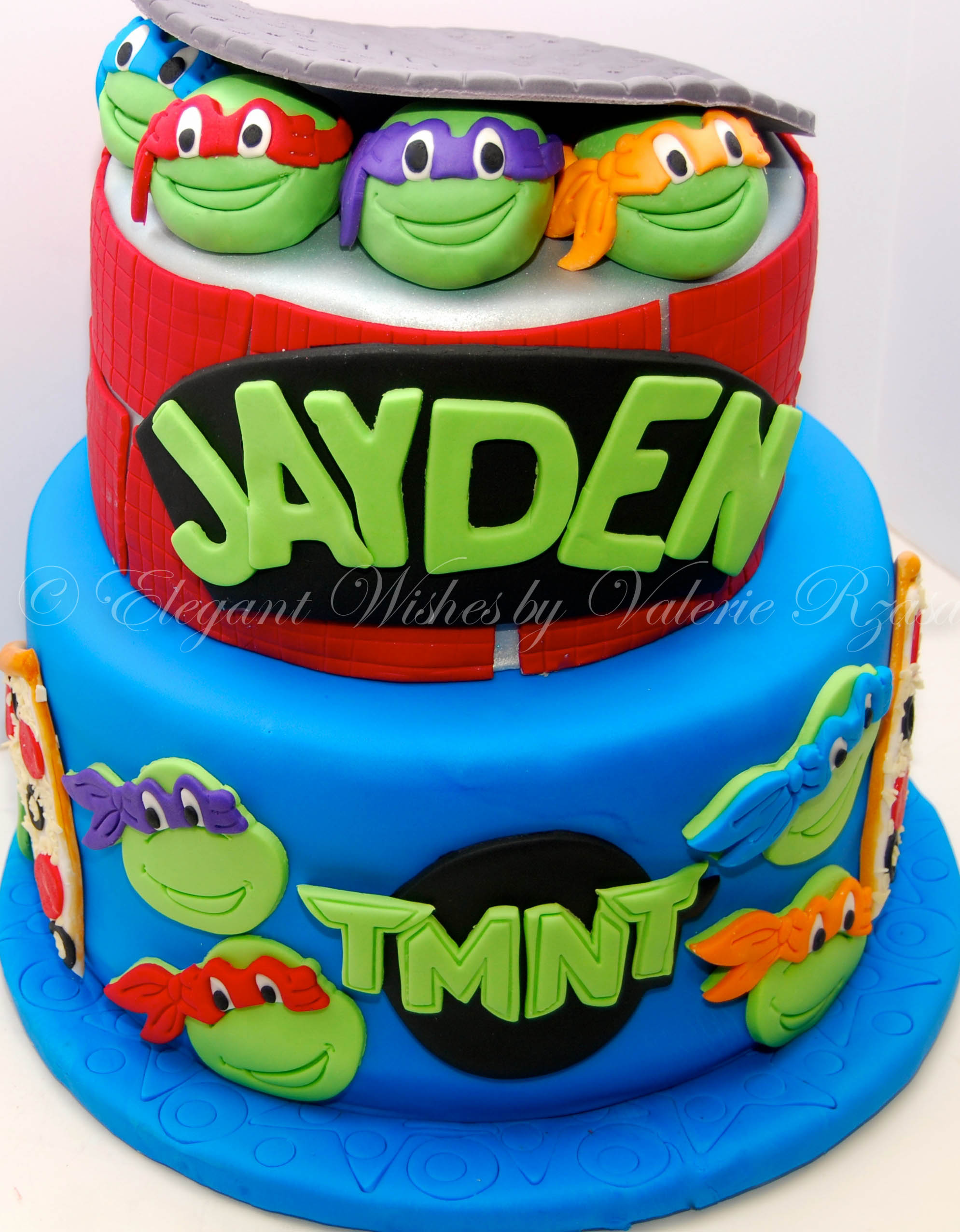 Ninja Turtle Cake