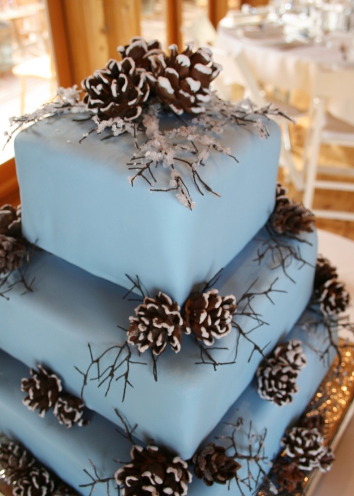 Pine Cone Winter Wedding Cake