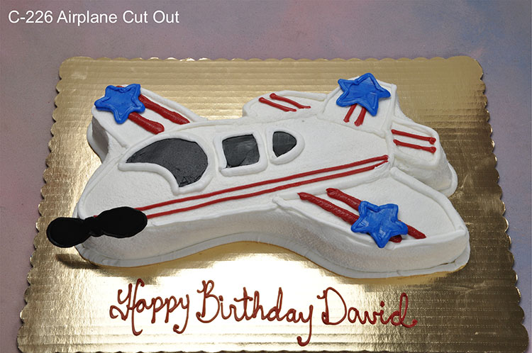 Airplane Cut Out Cake