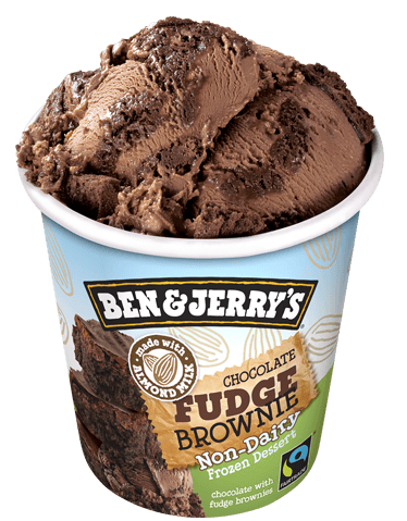 Chocolate Fudge Brownie Ice Cream Ben and Jerry