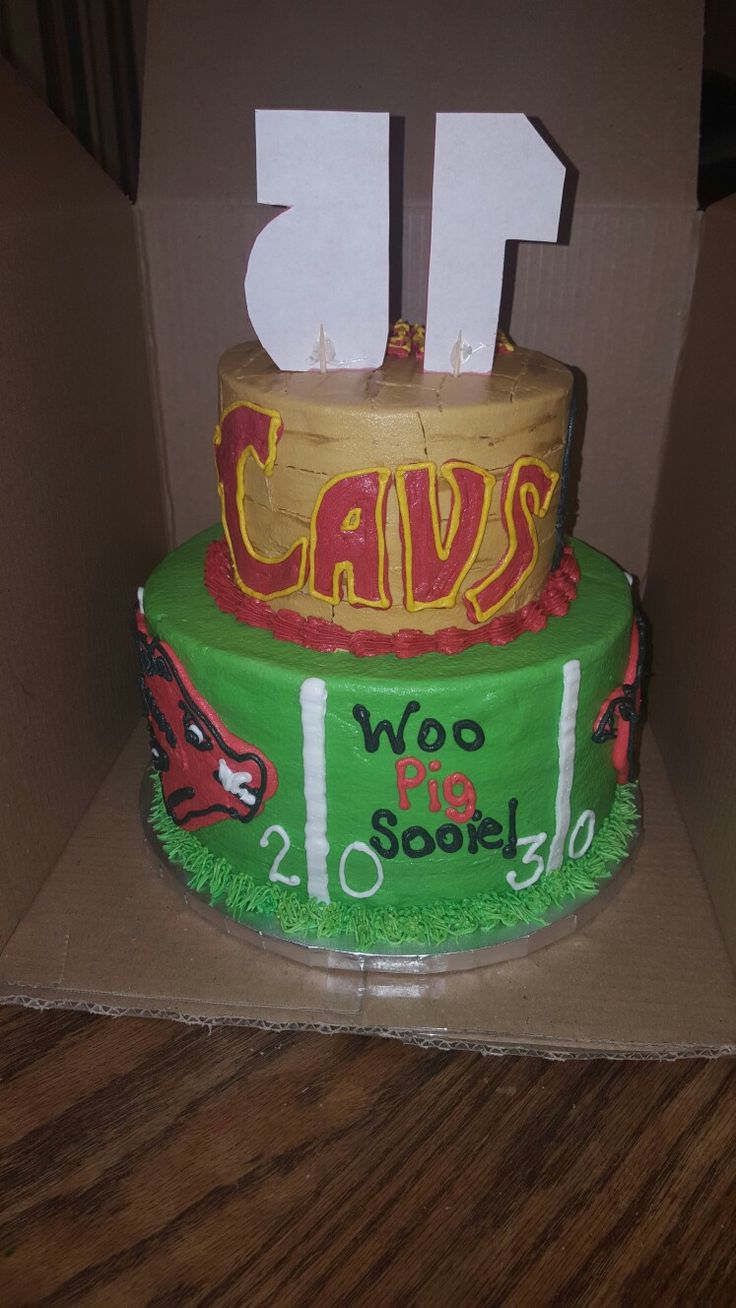 Cleveland Cavaliers Cake