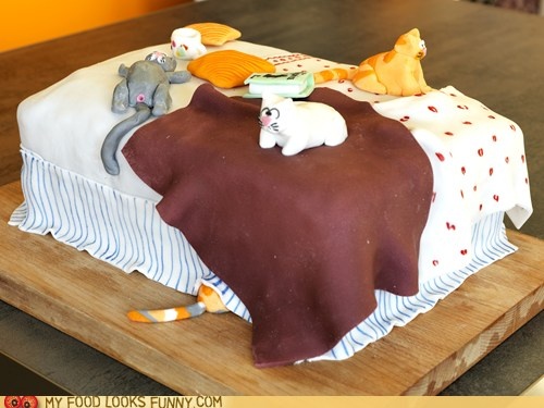 Crazy Cat Lady Cake