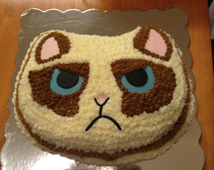 Grumpy Cat Birthday Cake