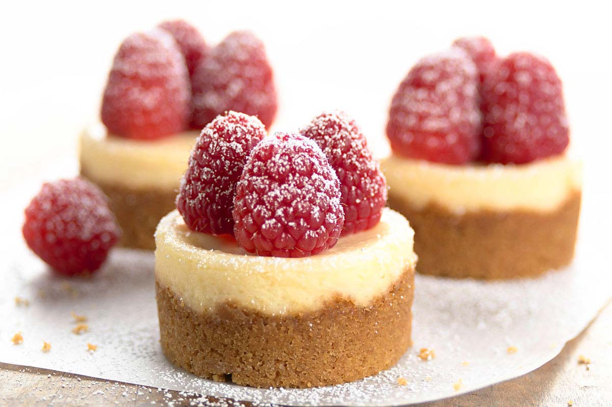 Mini Cheesecake Recipe