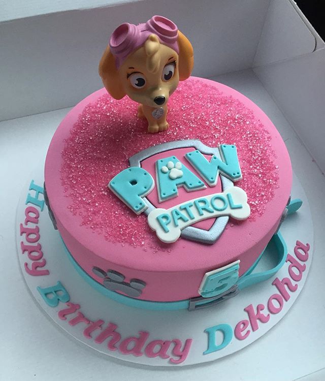 PAW Patrol Birthday Cake Ideas