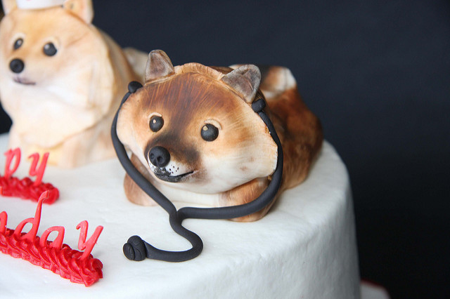 9 Photos of Pomeranian Dog Cakes