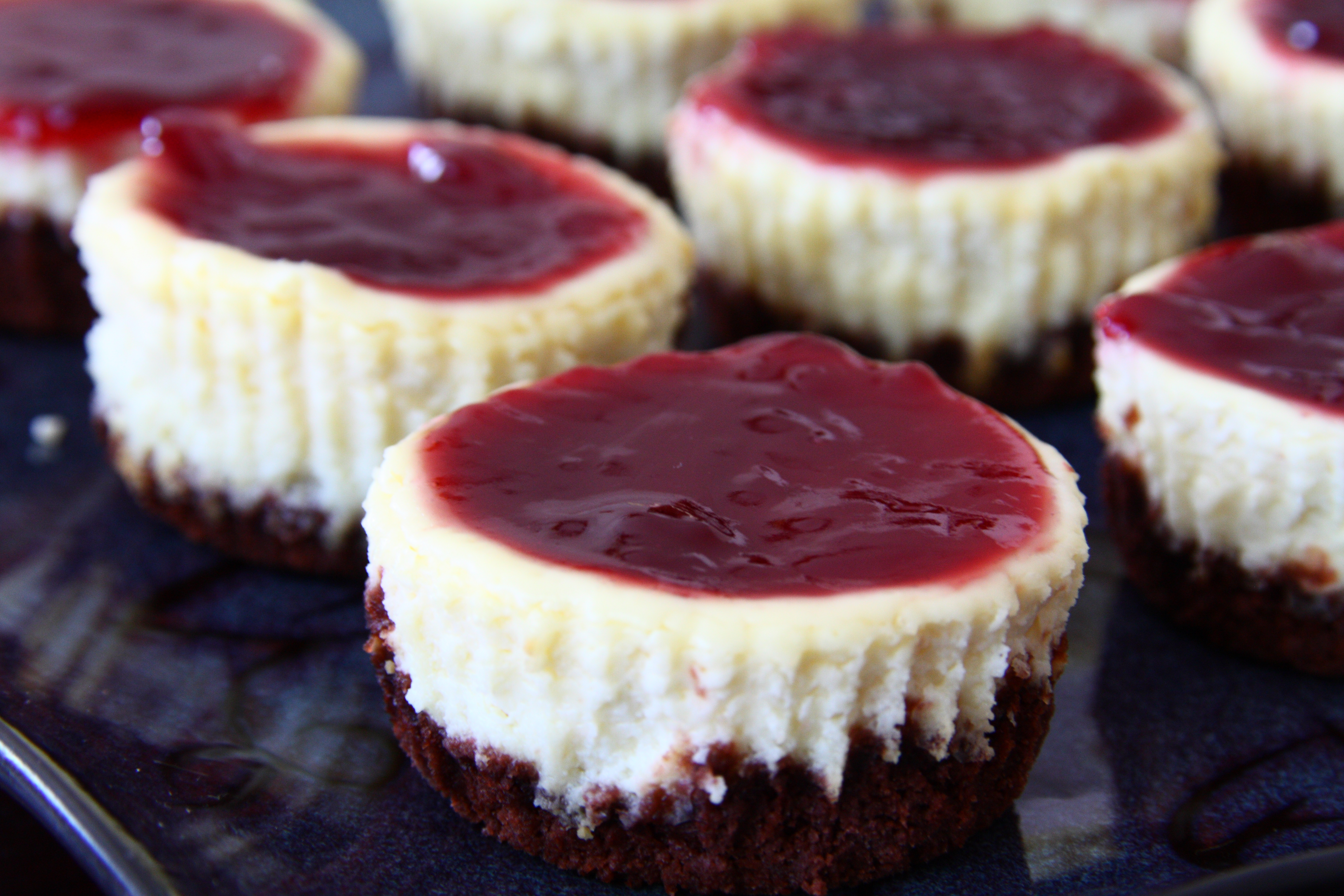 6 Photos of Black Bottom Mini Cheesecakes