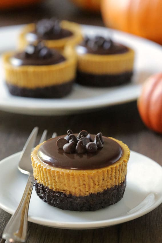 Mini Pumpkin Cheesecakes Desserts Recipe