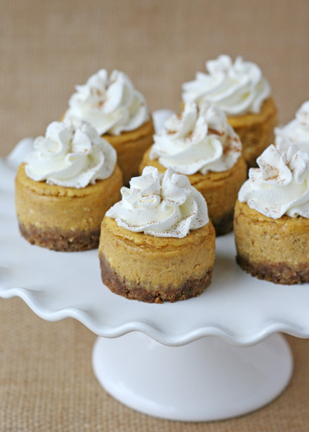 Mini Pumpkin Cheesecakes Recipe