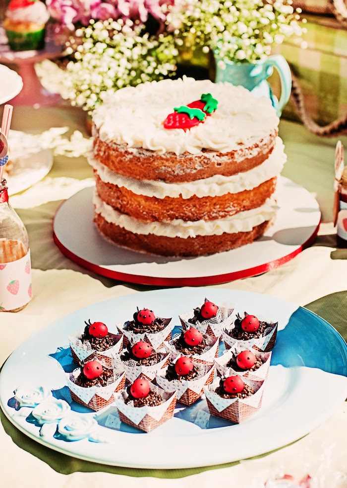 Picnic Birthday Party Ideas