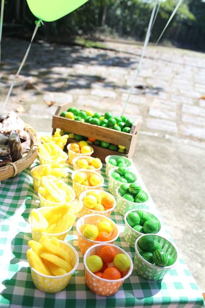 Summer Picnic Birthday Party Ideas