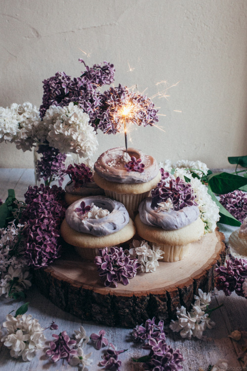 Lavender Cupcakes