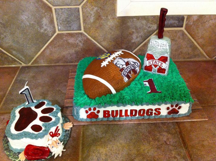 Mississippi State Birthday Cake