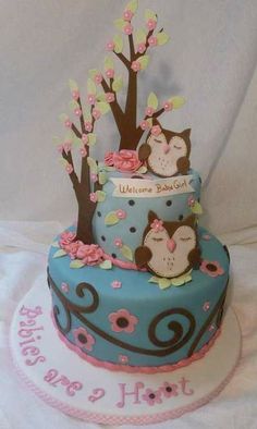 Owl Baby Shower Cake