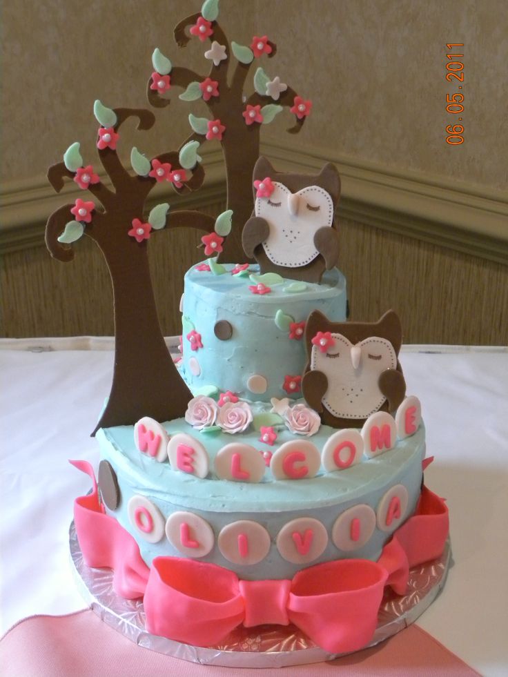 Owl Baby Shower Cake