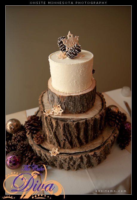 Rustic Winter Wedding Cake with Pine Cones