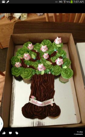 Tree Owl Baby Shower Cupcake Cake