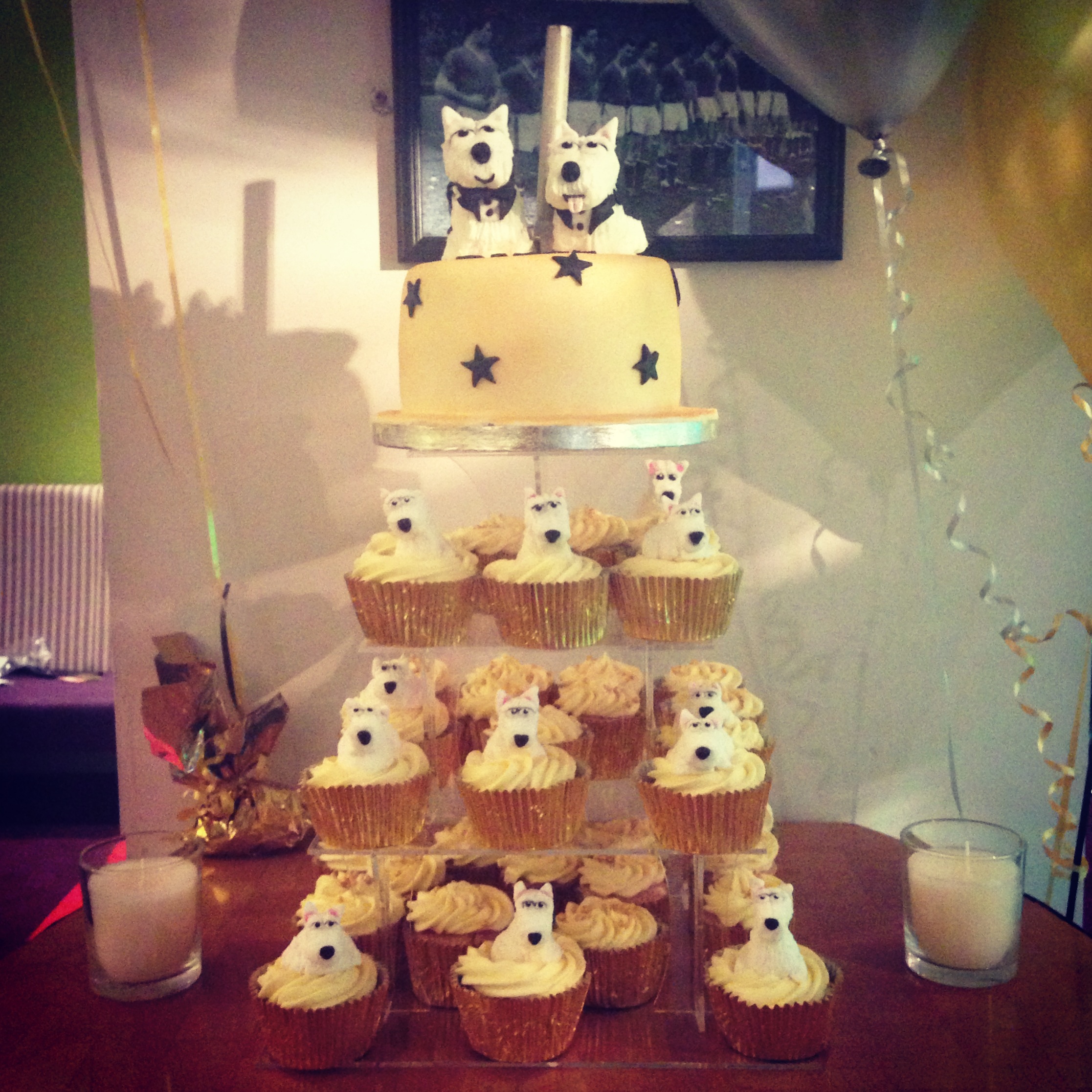 Westie Dogs and Birthday Cake Images