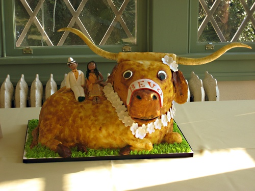 11 Photos of Bevo Birthday Cakes