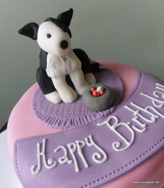 Border Collie Dog Birthday Cake