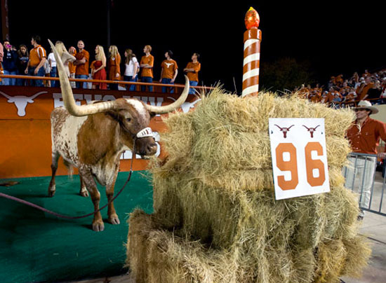 Happy Birthday Longhorns Bevo