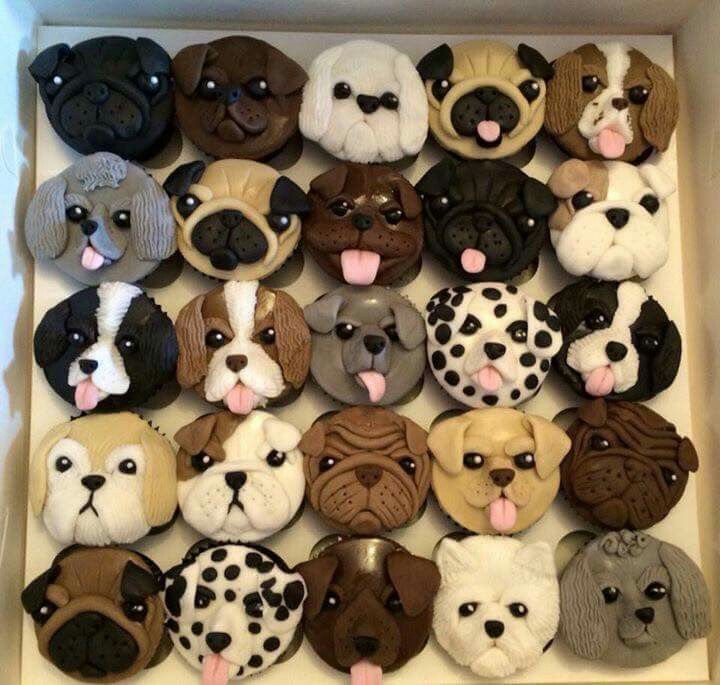 Puppy Cupcakes