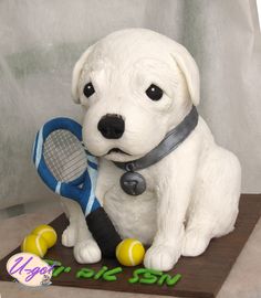 Sculpted Dog Cake