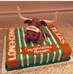 University of Texas Longhorns Bevo for Cake