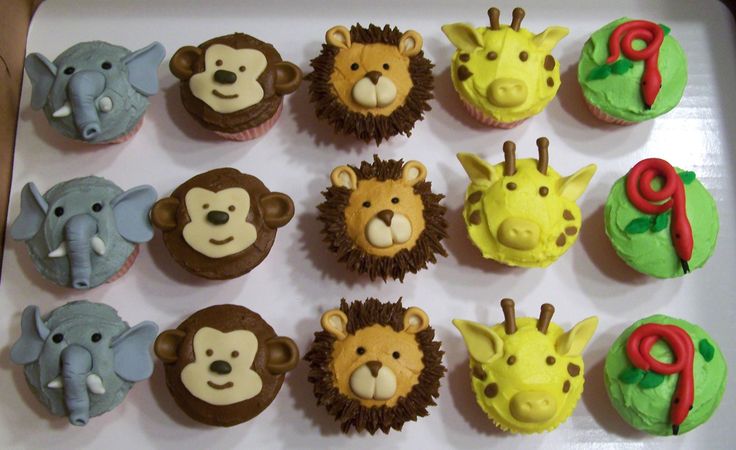 Jungle Themed Cupcakes