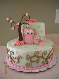 Owl Baby Shower Cake