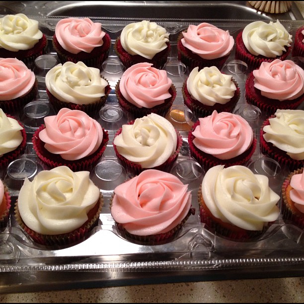 Pink Cupcakes with White Roses