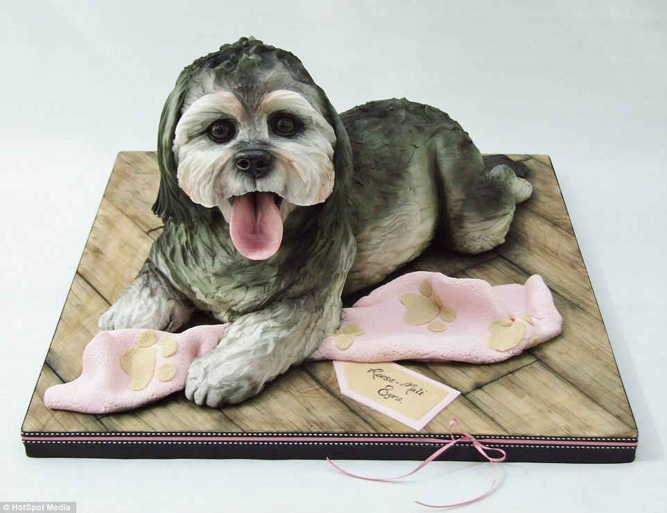 Birthday Cakes That Look Like Dogs