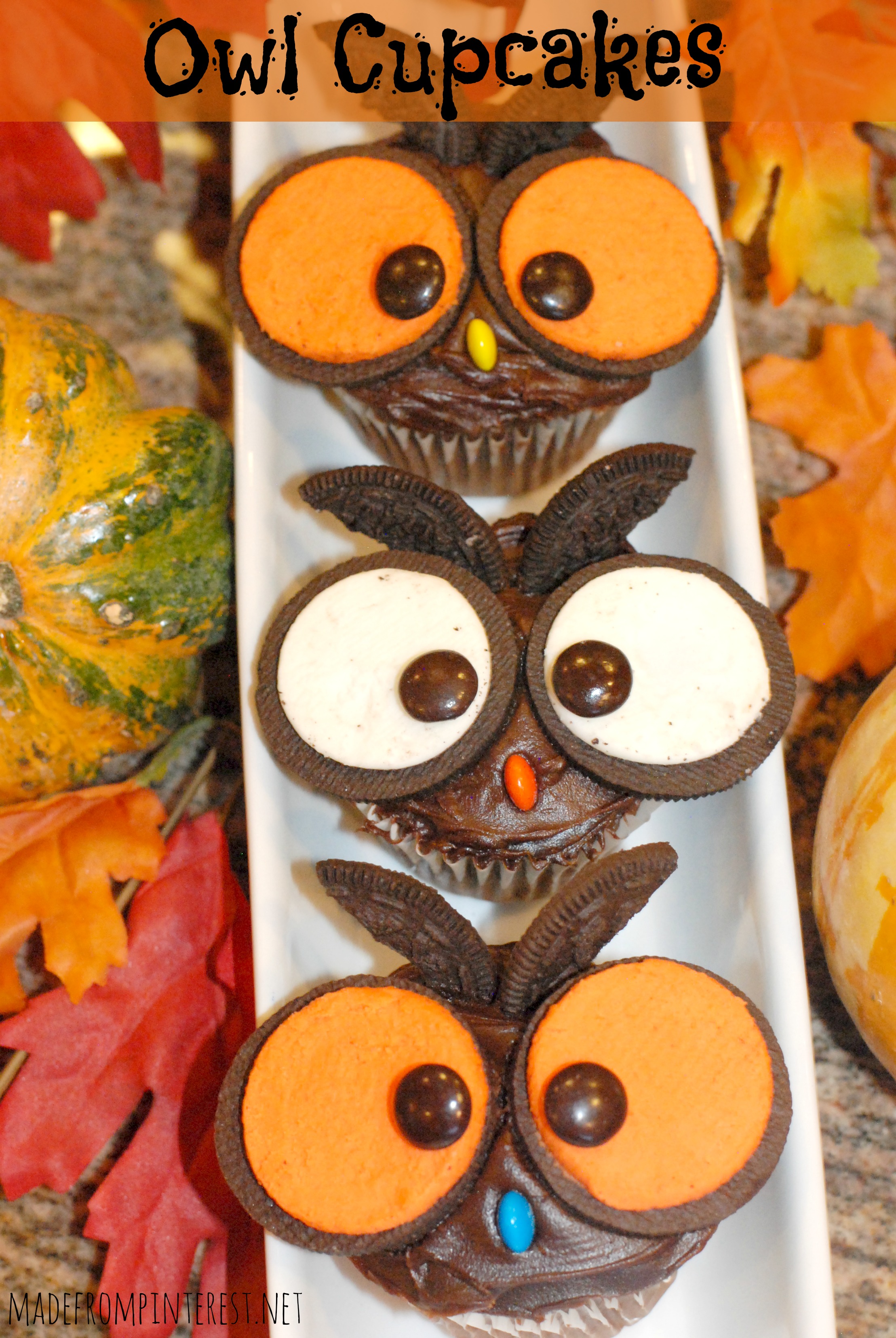 Halloween Owl Cupcakes with Oreos