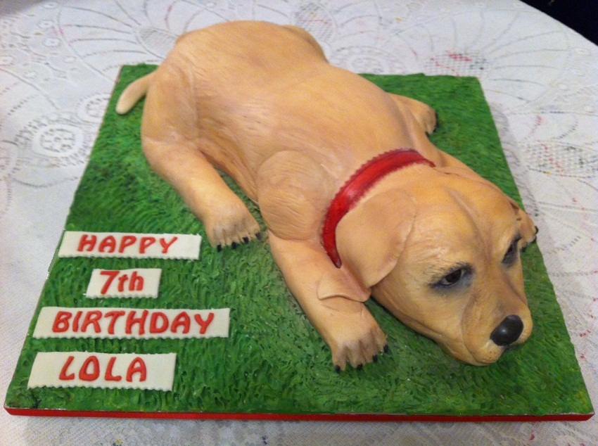 Labrador Birthday Cake