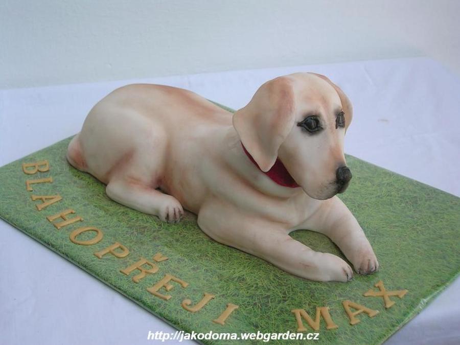 Labrador Retriever Birthday Cake