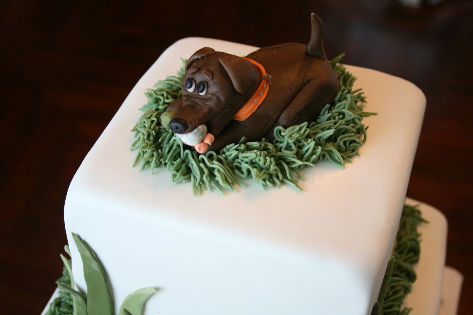 Labrador Retrievers with Birthday Cakes