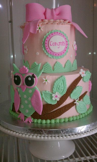 Owl Baby Shower Cake