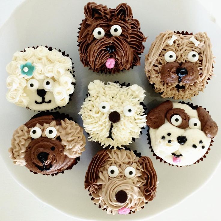 Puppy Dog Birthday Cupcakes