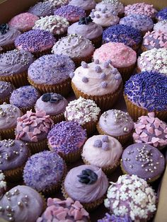 Purple Cupcakes