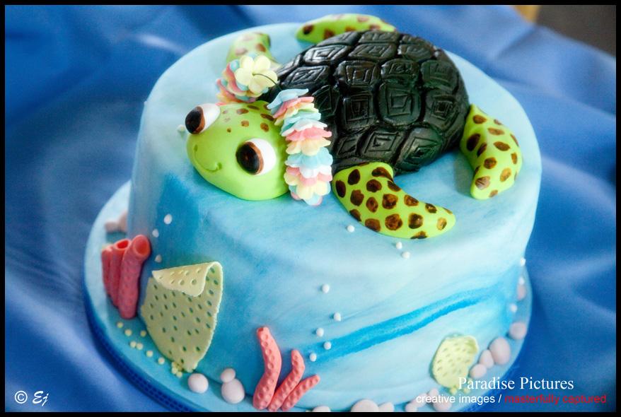 Sea Turtle Birthday Cake